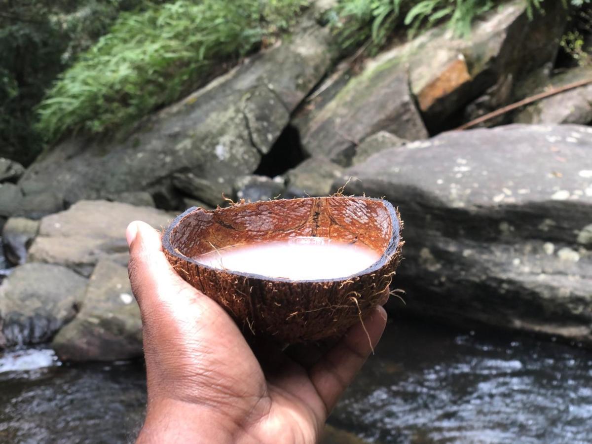 Palabaddala Tea And Eco Lodge Ratnapura Kültér fotó