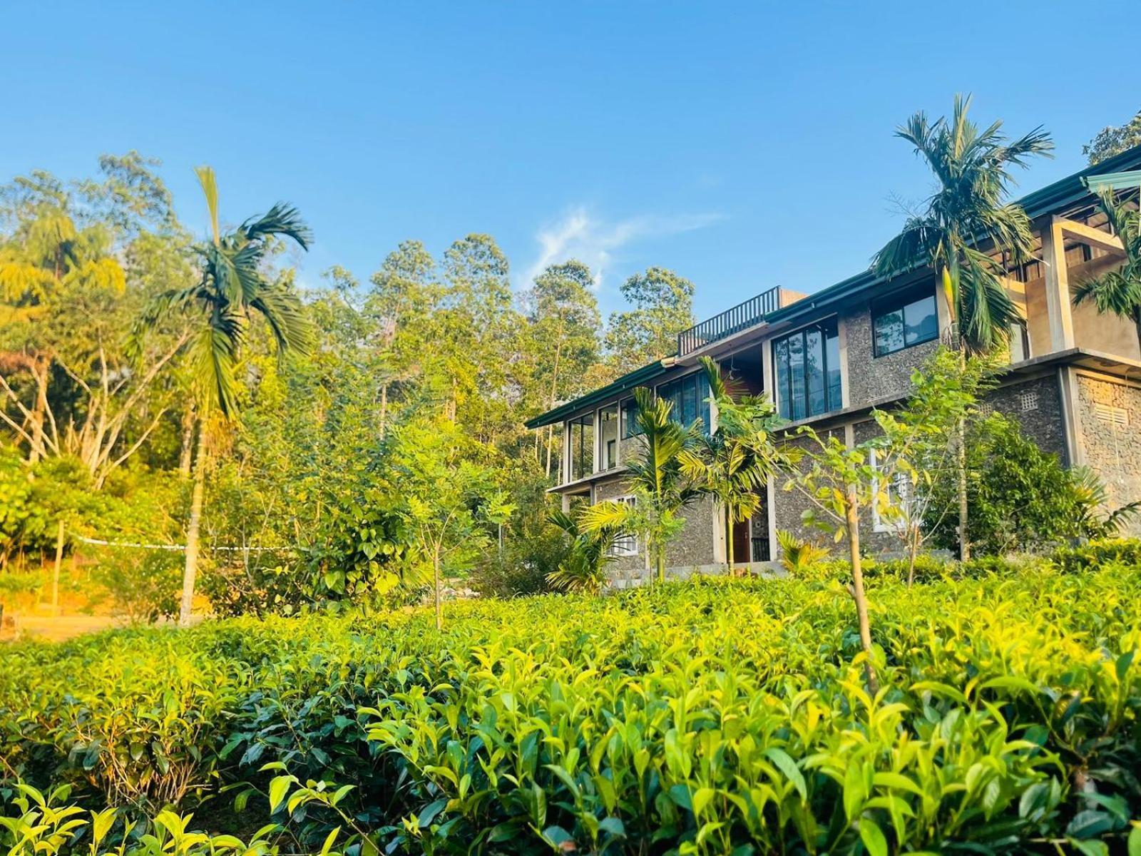 Palabaddala Tea And Eco Lodge Ratnapura Kültér fotó