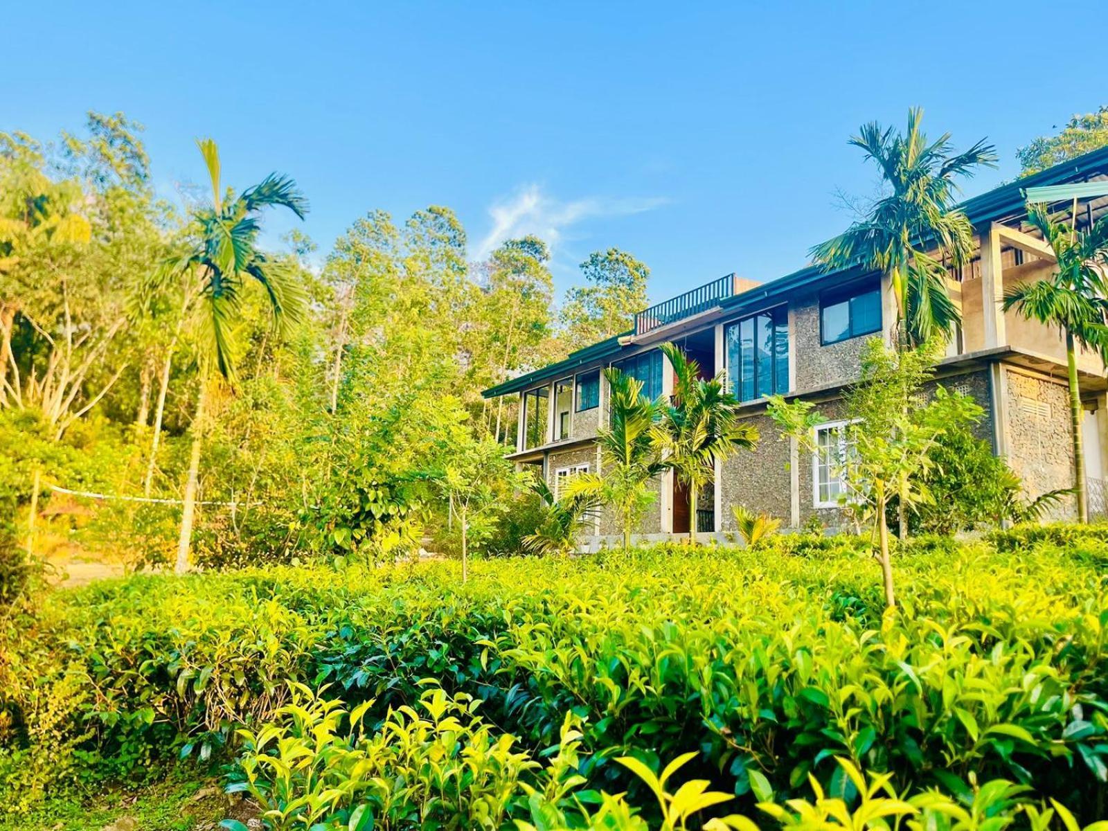 Palabaddala Tea And Eco Lodge Ratnapura Kültér fotó