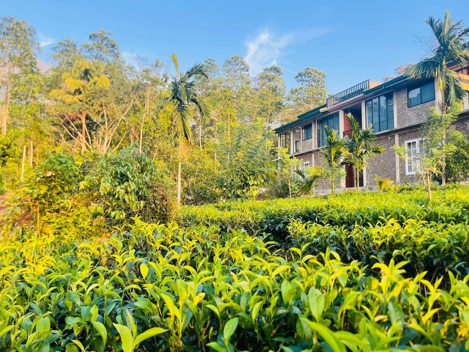 Palabaddala Tea And Eco Lodge Ratnapura Kültér fotó